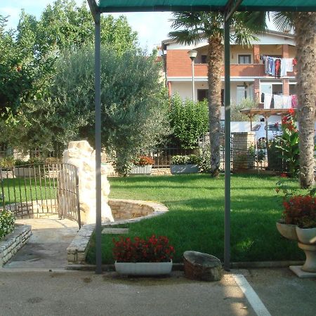 Apartments And Rooms Branka Novigrad  Luaran gambar